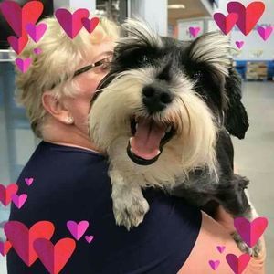 Meet your Posher, Diane